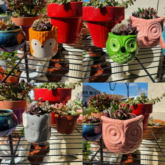 Ceramic owl Planters or pots - Picture 1 of 2